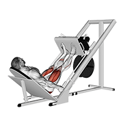 Leg Press (Trenó)