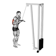 Pushdown Tríceps (Cabo)