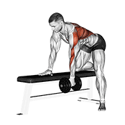 Remada (Unilateral) (Haltere)
