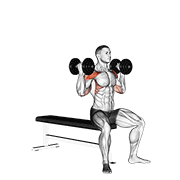 Arnold Press (Haltere)