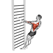 Remada (Unilateral) (Bodyweight)