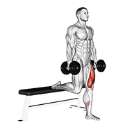 Agachamento Split (Unilateral) (Haltere)