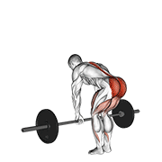 Deadlift Romeno (Barra)